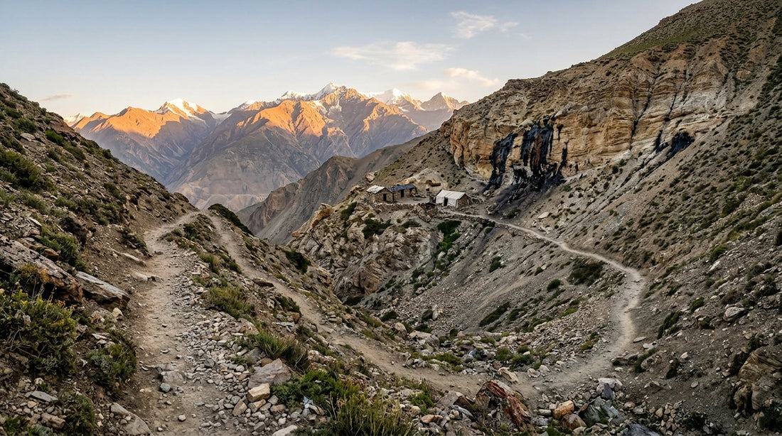 Where Does Himalayan Shilajit Come From