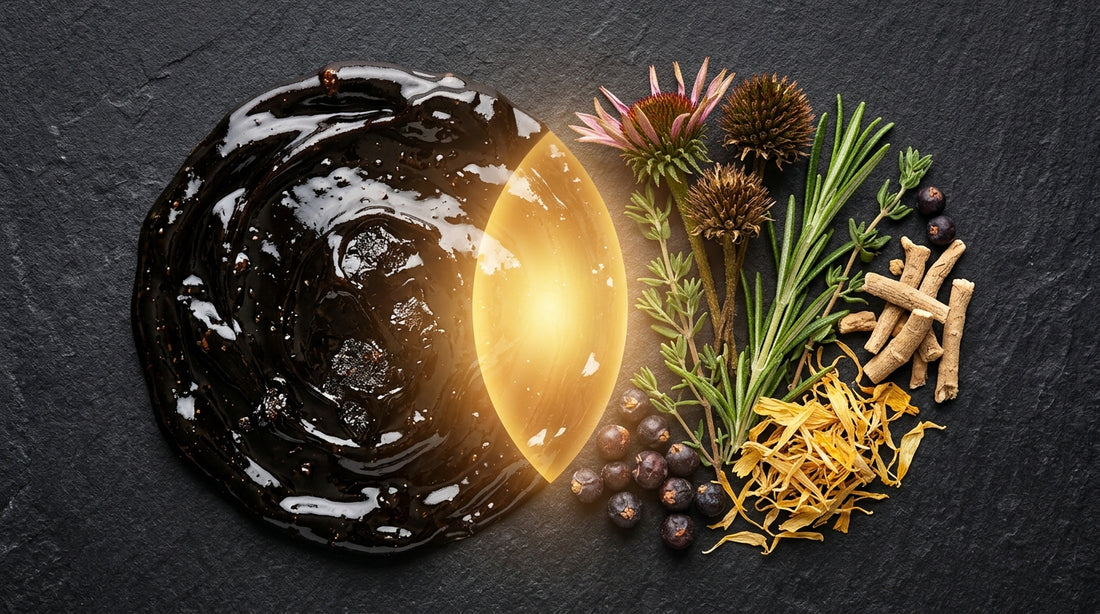 Shilajit And Immune Support The Connection