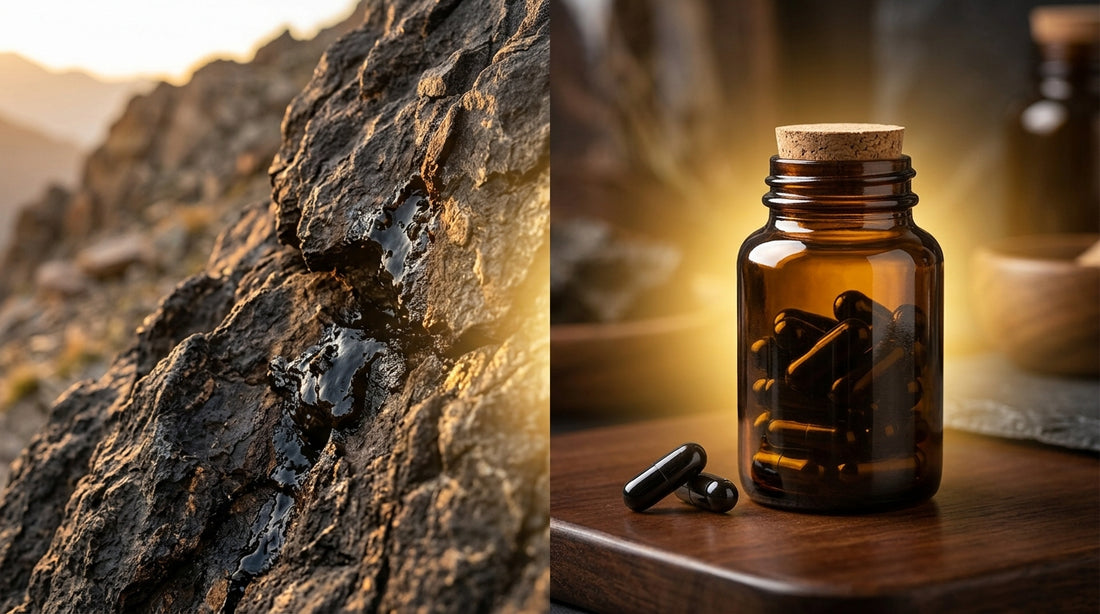 Why Shilajit Capsules Is Longer Lasting
