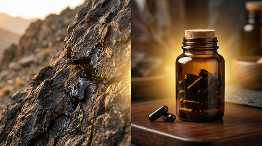 Why Shilajit Capsules Is Longer Lasting