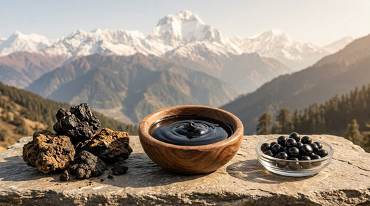 What Is Himalayan Shilajit