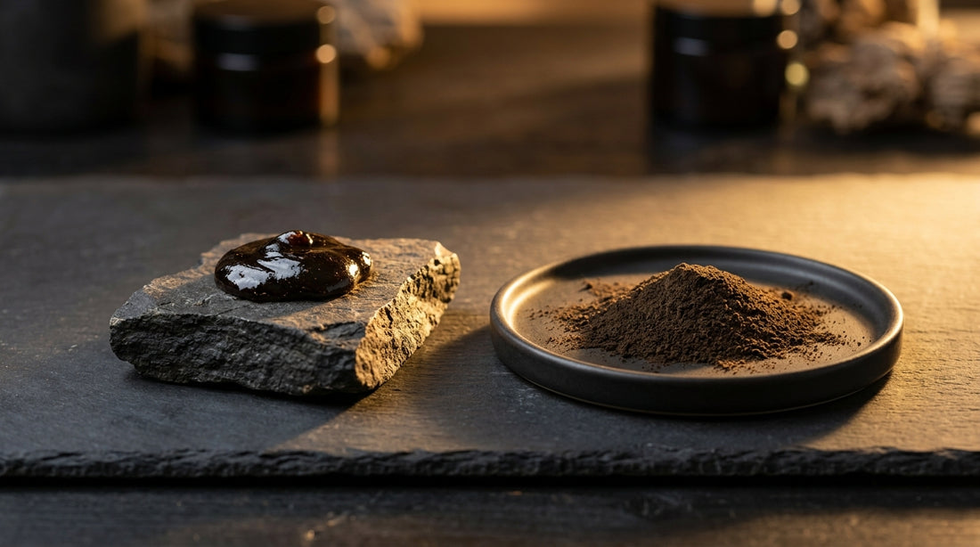 Shilajit Resin Vs Powder Which Is Better