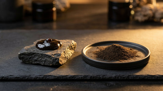 Shilajit Resin Vs Powder Which Is Better