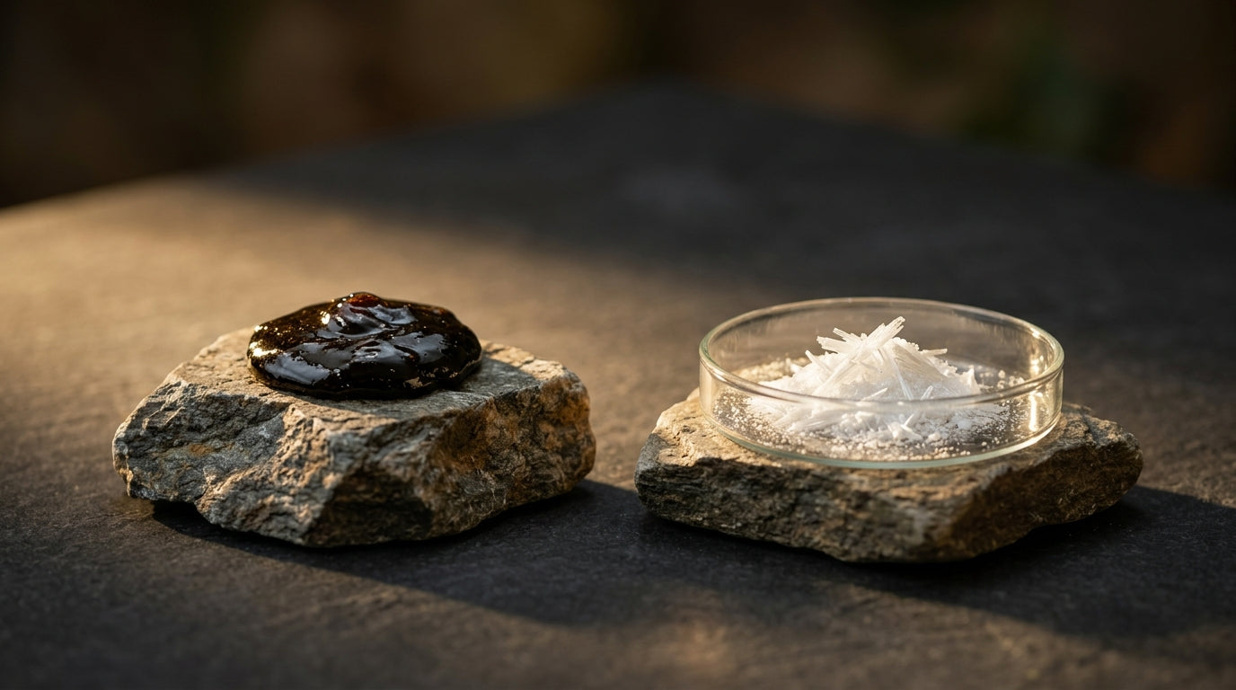 Natural Shilajit Vs Caffeine Honest Comparison