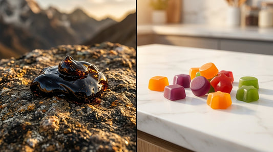 Shilajit Resin Vs Gummies Which Is Better