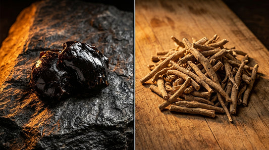Shilajit Vs Ashwagandha For Testosterone