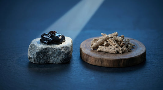 Shilajit Vs Ashwagandha For Sleep