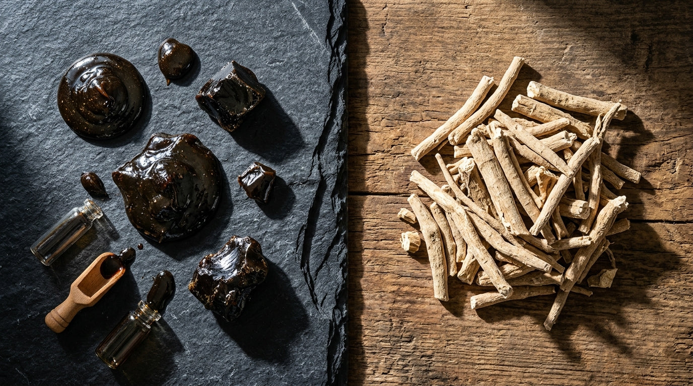 Shilajit Vs Ashwagandha For Recovery