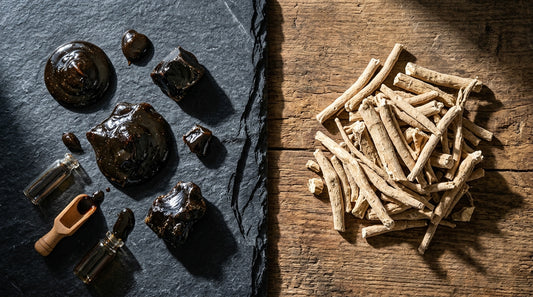 Shilajit Vs Ashwagandha For Recovery