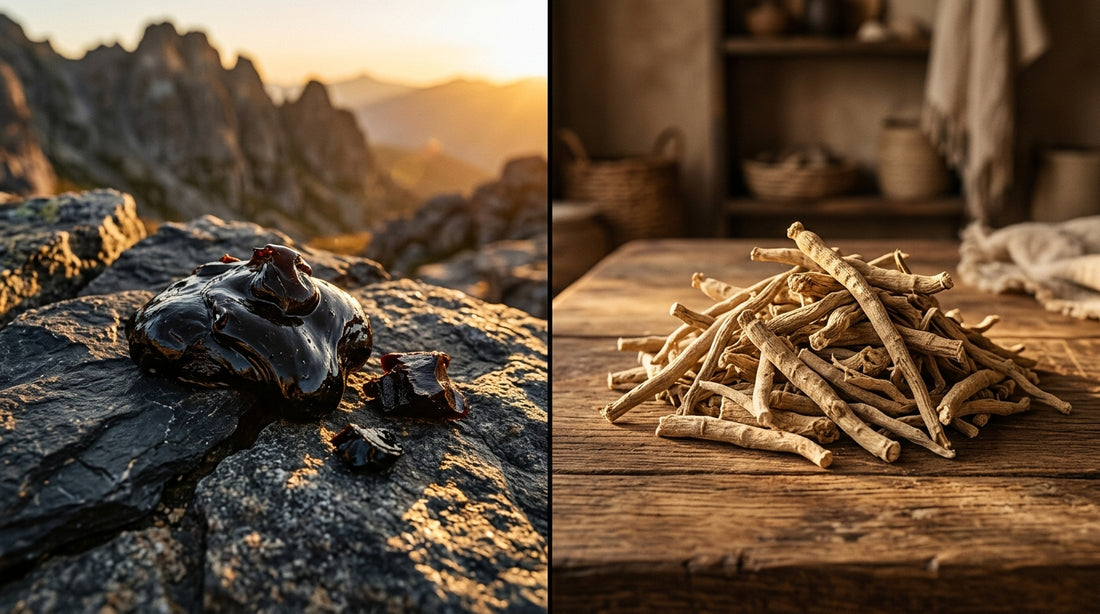 Shilajit Vs Ashwagandha For Bodybuilding