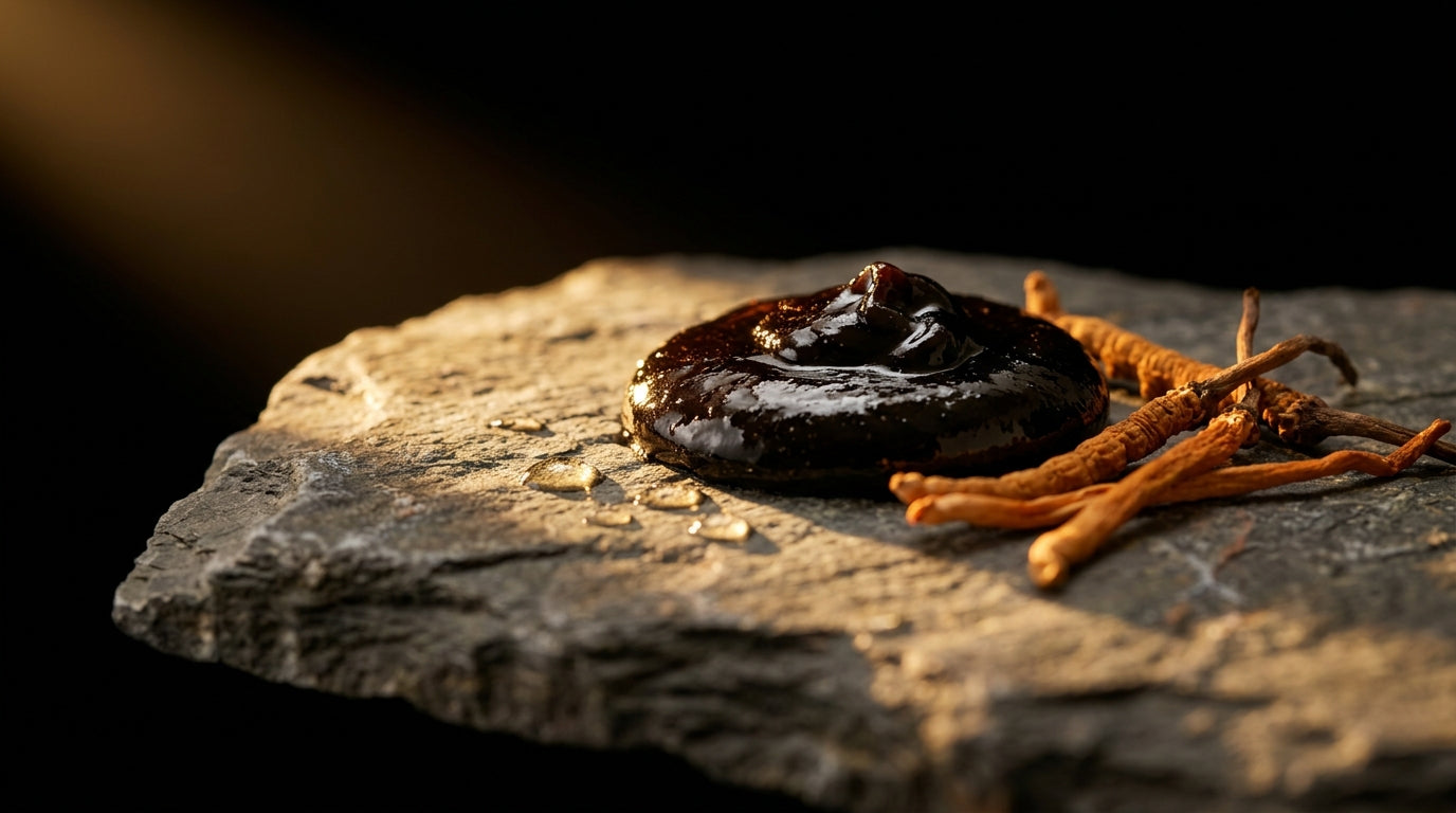 Benefits Of Combining Shilajit And Cordyceps