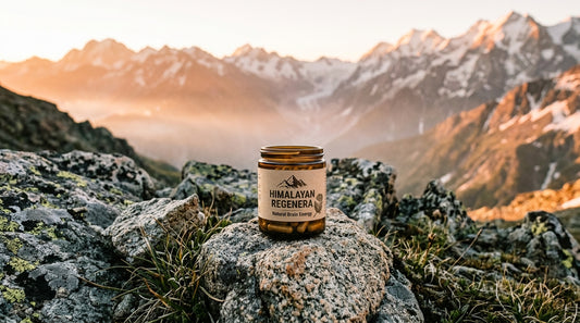 Brain Energy At Work Natural Solutions
