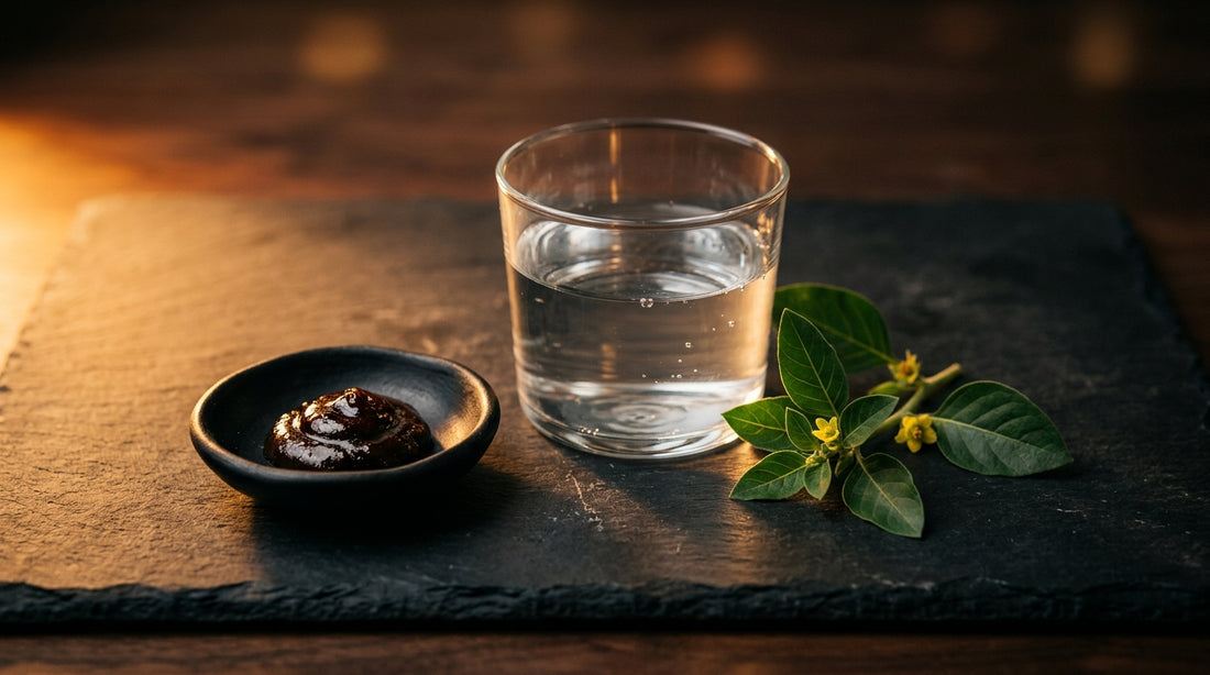 Shilajit For Mens Stamina