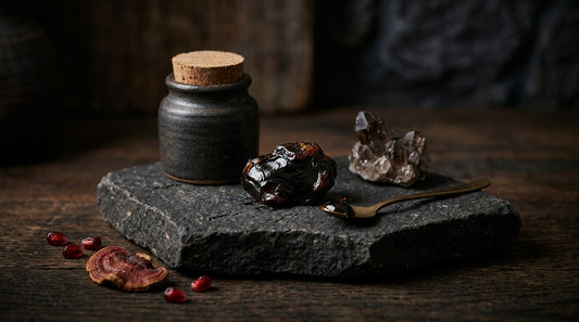 Shilajit For Mens Sexual Health