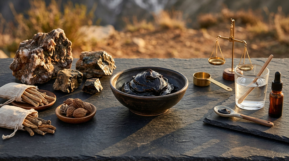 Shilajit For Arterial Health Evidence Guide