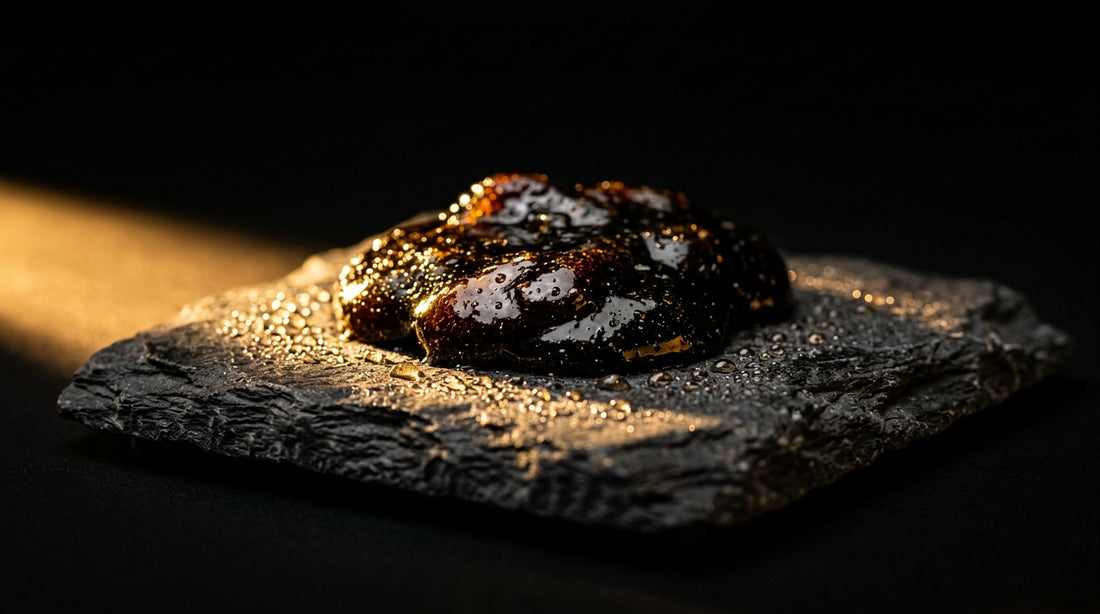 Shilajit And Coq10 Together Benefits And Risks