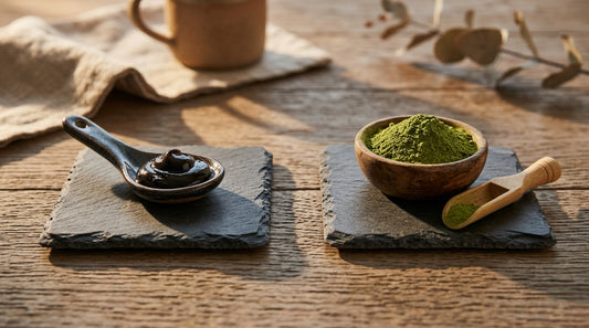 Shilajit Vs Moringa Which Is Better For Over 40