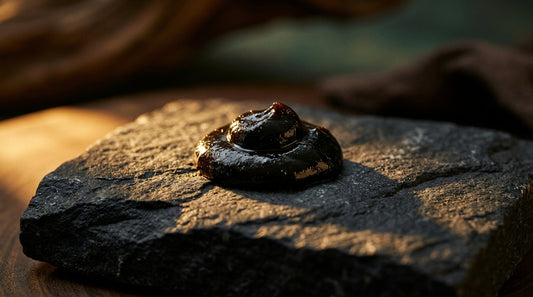 Should You Take Shilajit Or Reishi Mushroom For Hormones