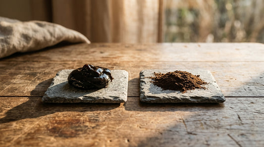 Shilajit Resin Vs Powder Pros And Cons