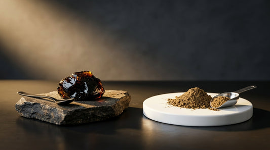 Resin Shilajit Vs Powder Shilajit For Convenience