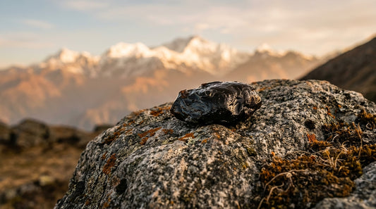 What Makes A Himalayan Shilajit Brand Trustworthy
