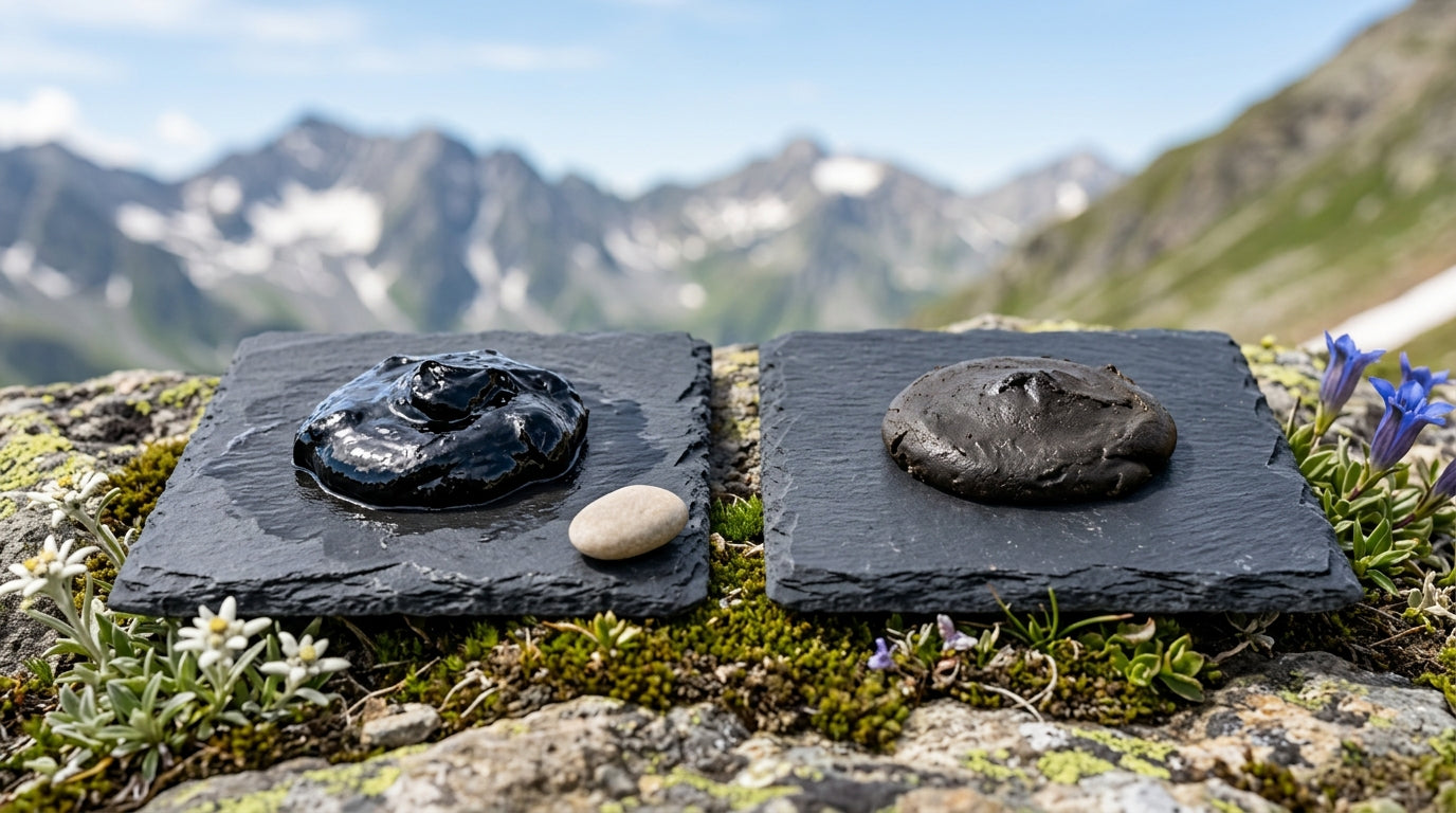 Organic Shilajit Brands Purity And Lab Testing Compared