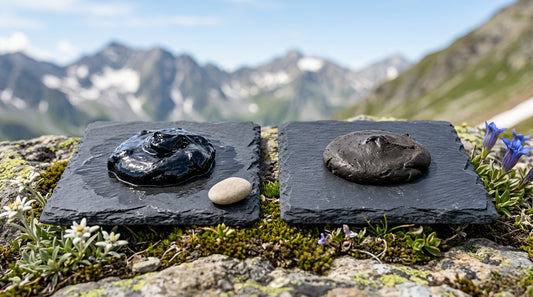 Organic Shilajit Brands Purity And Lab Testing Compared