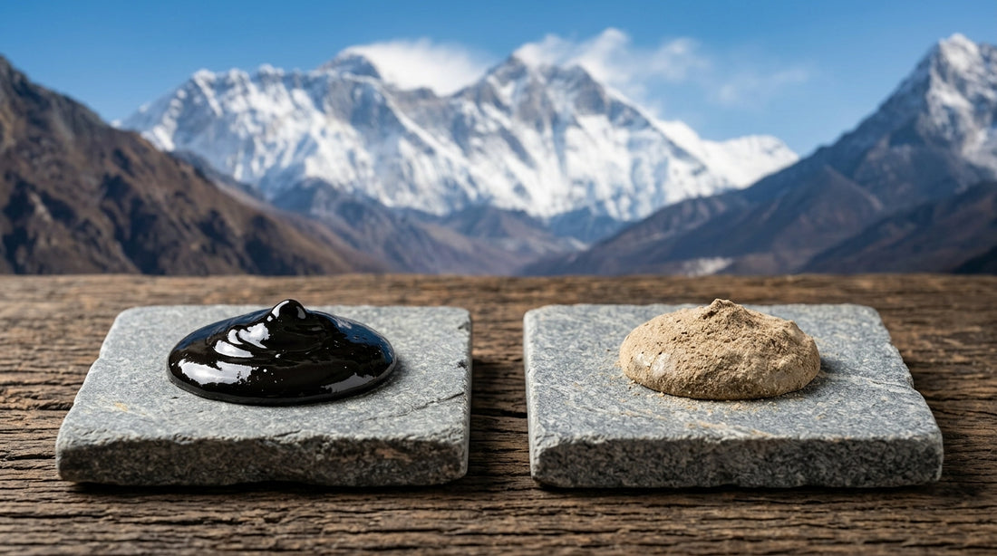 Himalayan Shilajit Brands Purity And Lab Testing Compared