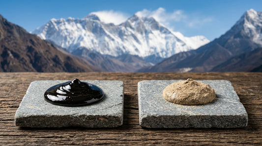 Himalayan Shilajit Brands Purity And Lab Testing Compared