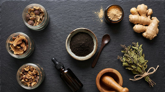 Best Shilajit Powder For Immune Support Buying Guide