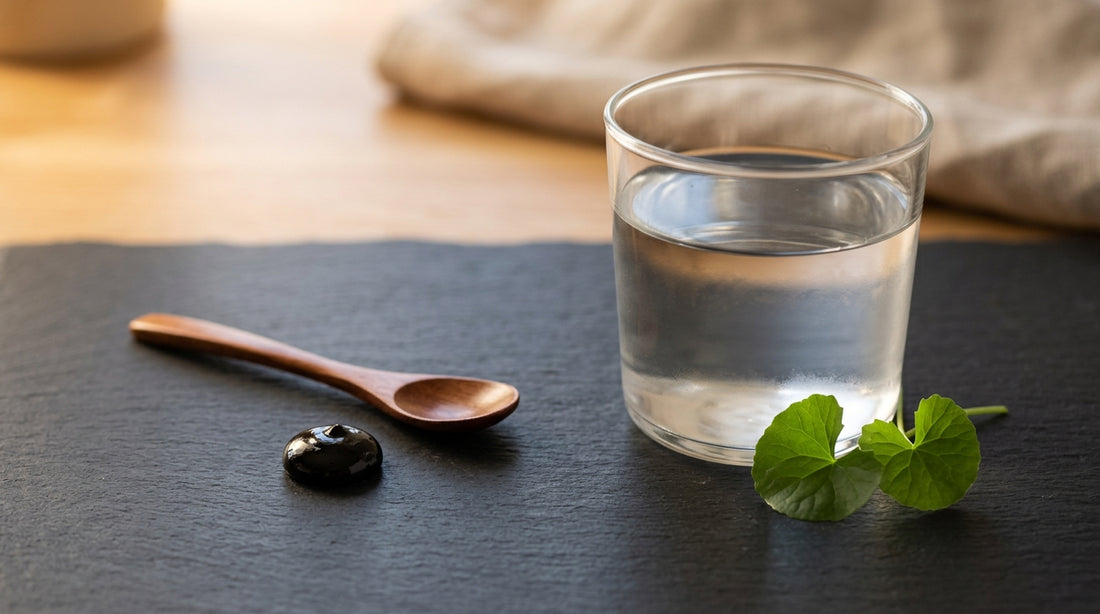 Shilajit Dose Guide For Mental Sharpness By Body Weight