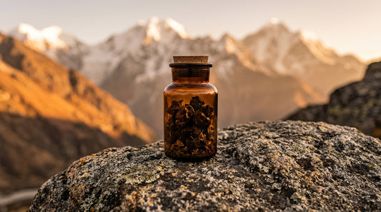 Mitochondrial Function And Longevity What The Science Shows