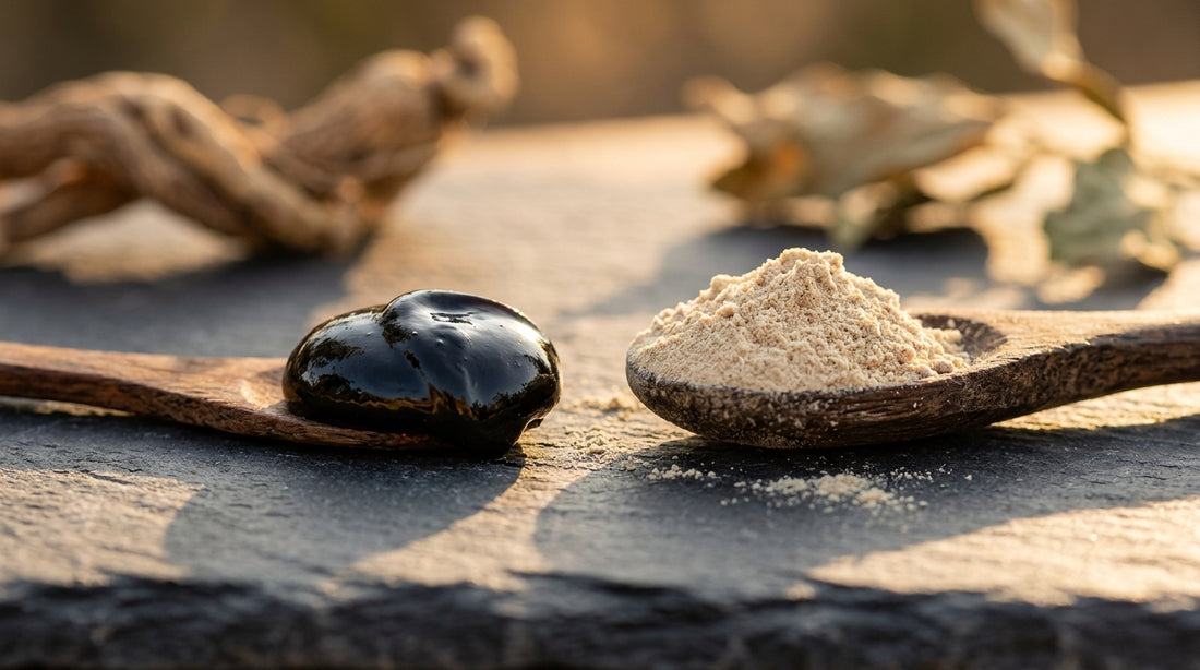 Can You Take Shilajit Every Day