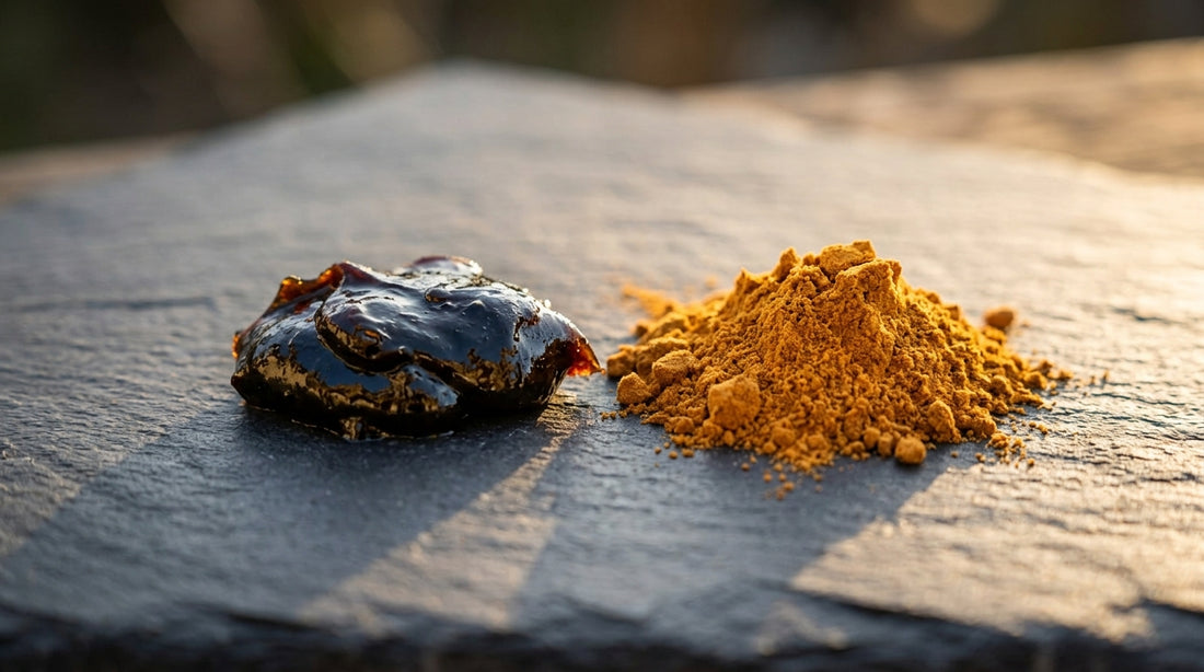 Can You Take Shilajit Long Term