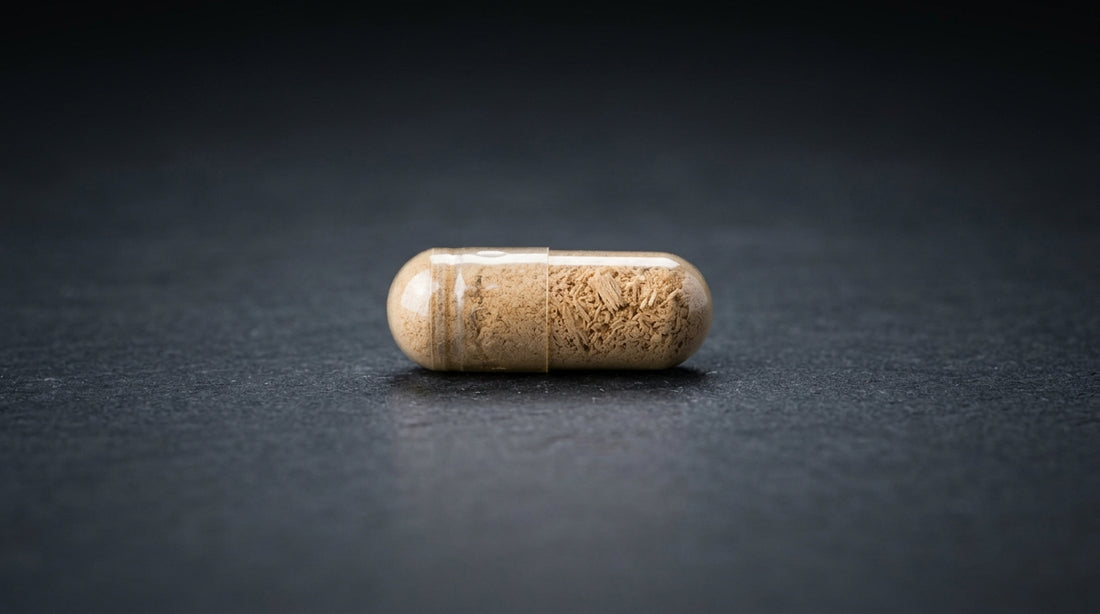 What Is The Most Important Supplement For Focus