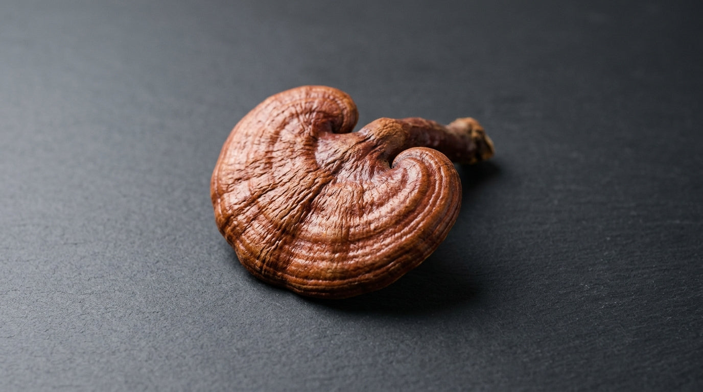 What Is The Best Natural Remedy For Weak Immunity