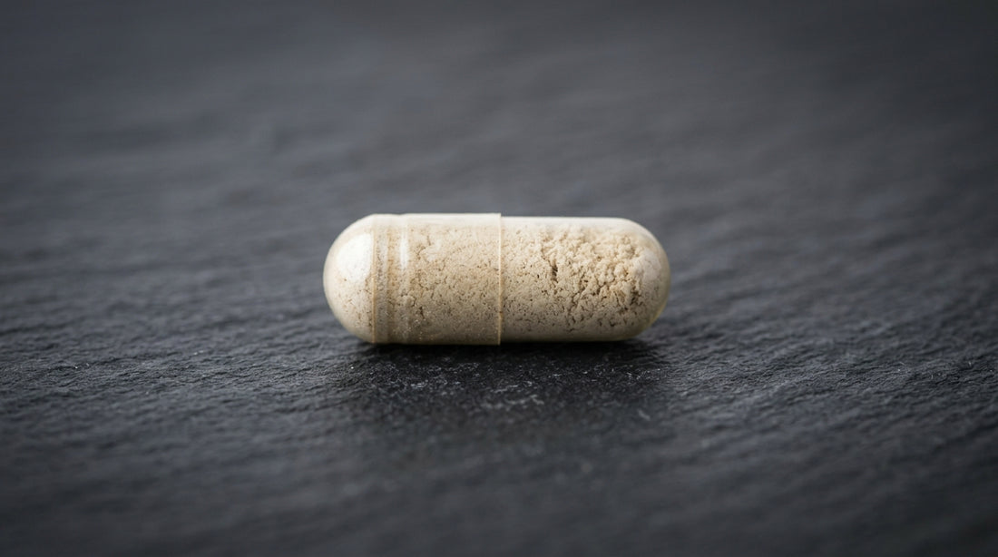 What Is The Best Form Of Nootropics