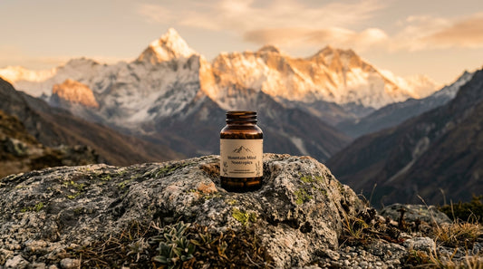 What Does Research Say About Nootropics