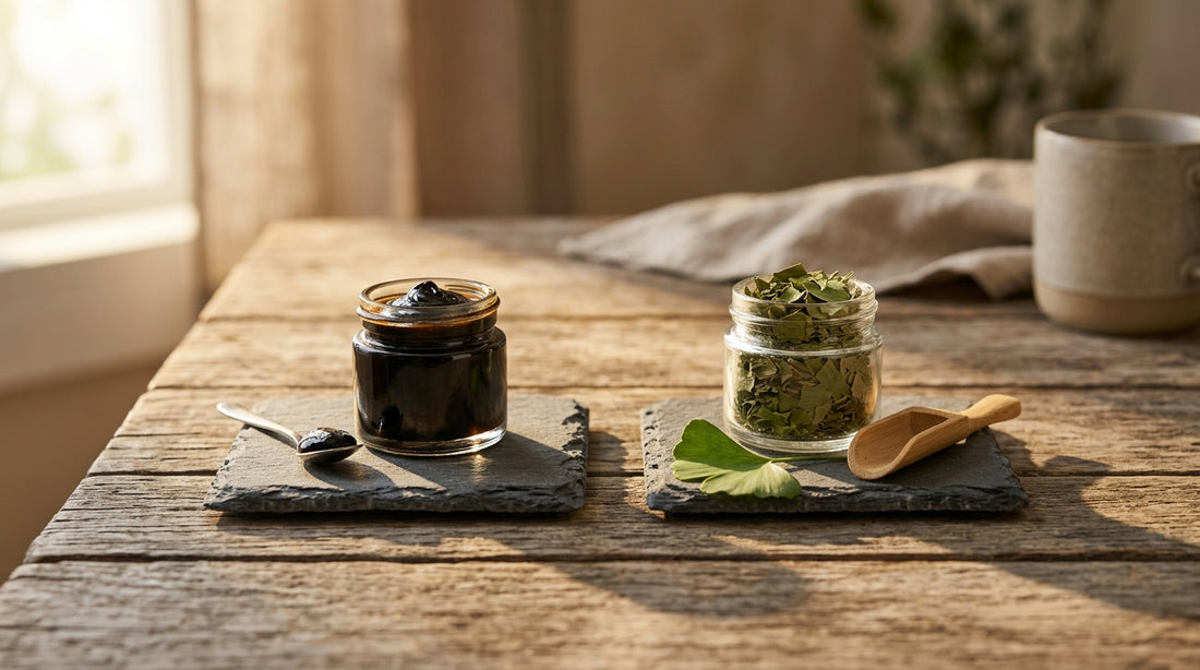 Shilajit Vs Ginkgo Biloba Which Is Better For Students