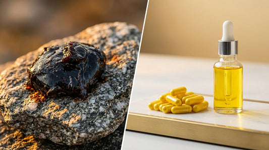 Shilajit Vs Berberine Which Is Better For Women