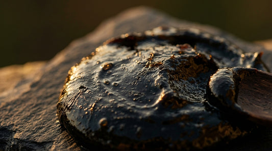 Shilajit And Berberine Together Benefits And Risks