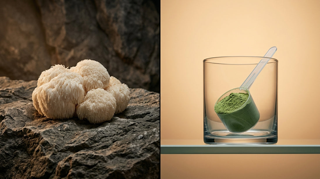 Lions Mane Vs Ag1 For Stress Relief