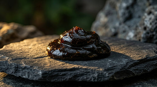Should You Take Shilajit Or Rhodiola Rosea For Hormones