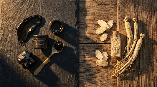 Shilajit Vs Ginseng Which Is Better For Over 40