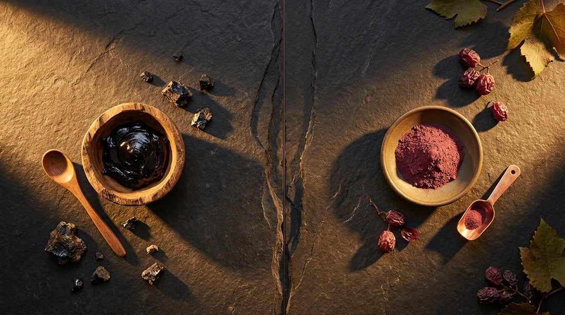 Shilajit Vs Resveratrol Which Is Better For Beginners