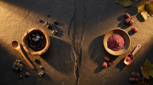 Shilajit Vs Resveratrol Which Is Better For Beginners