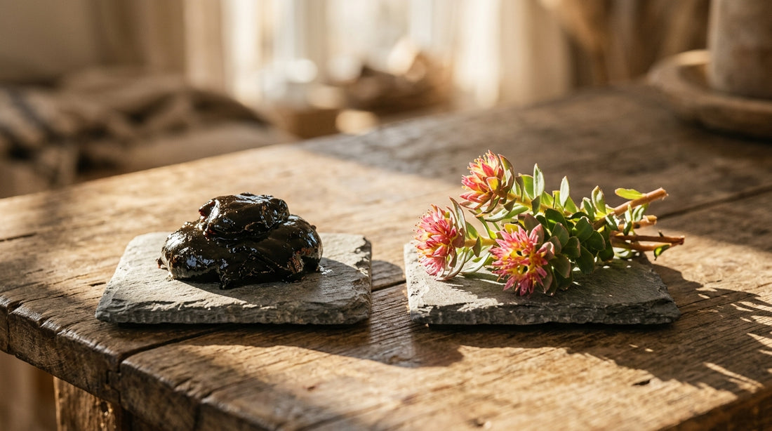 Shilajit Vs Rhodiola Rosea For Endurance
