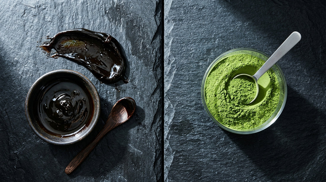 Shilajit Vs Ag1 For Muscle Recovery