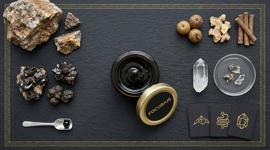 Shilajit For Gut Health What Works