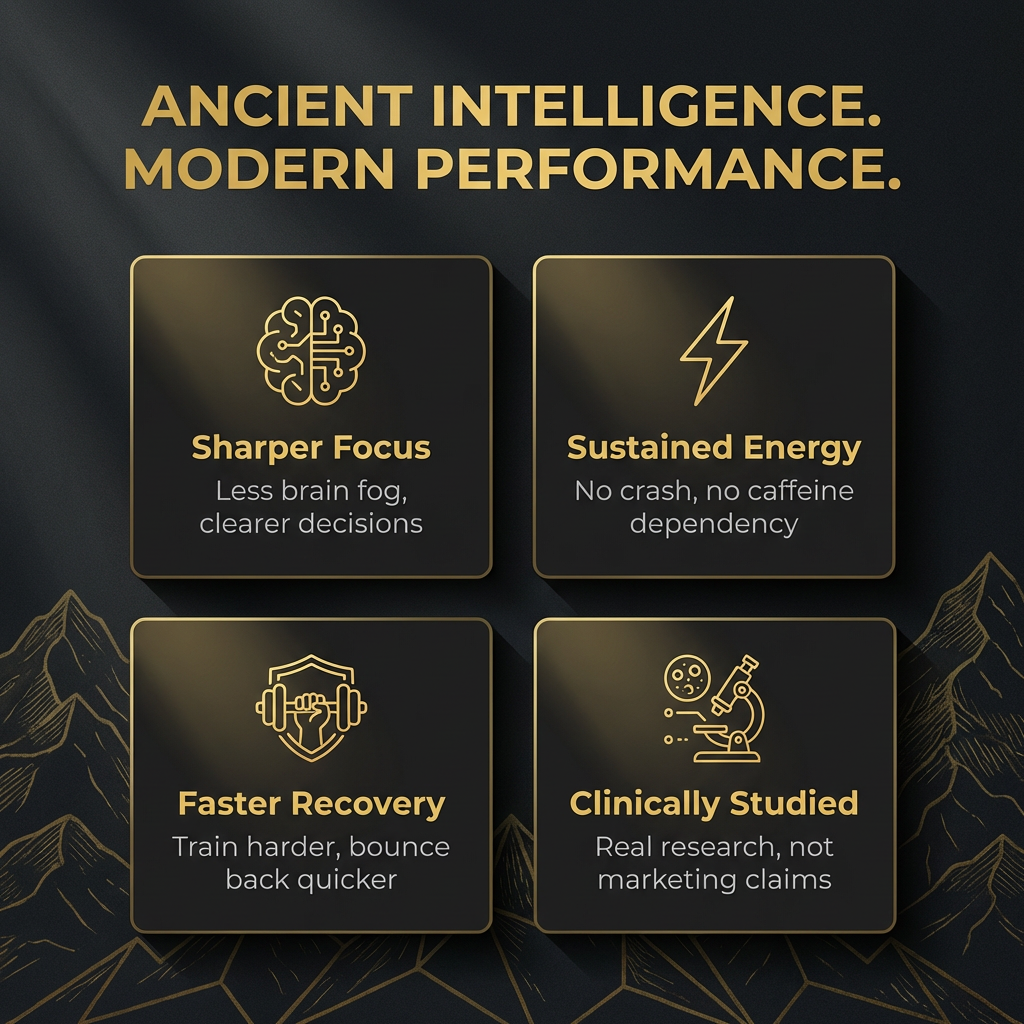 focurius™ Premium Black Gold Shilajit Resin